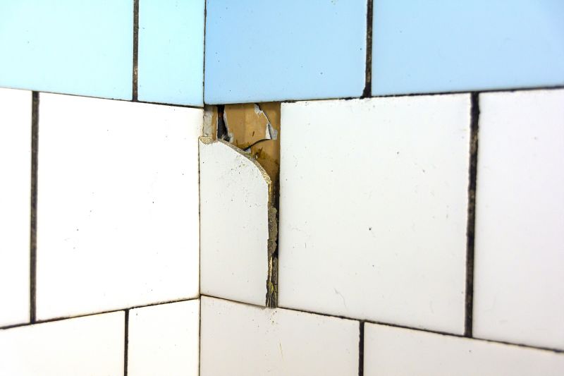 Damaged Tile Grout